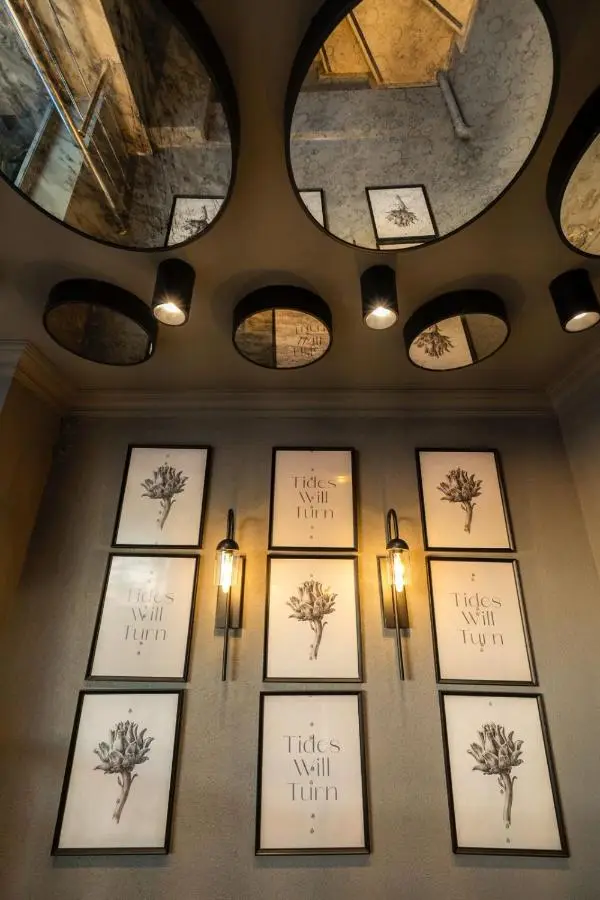 Cube Suites