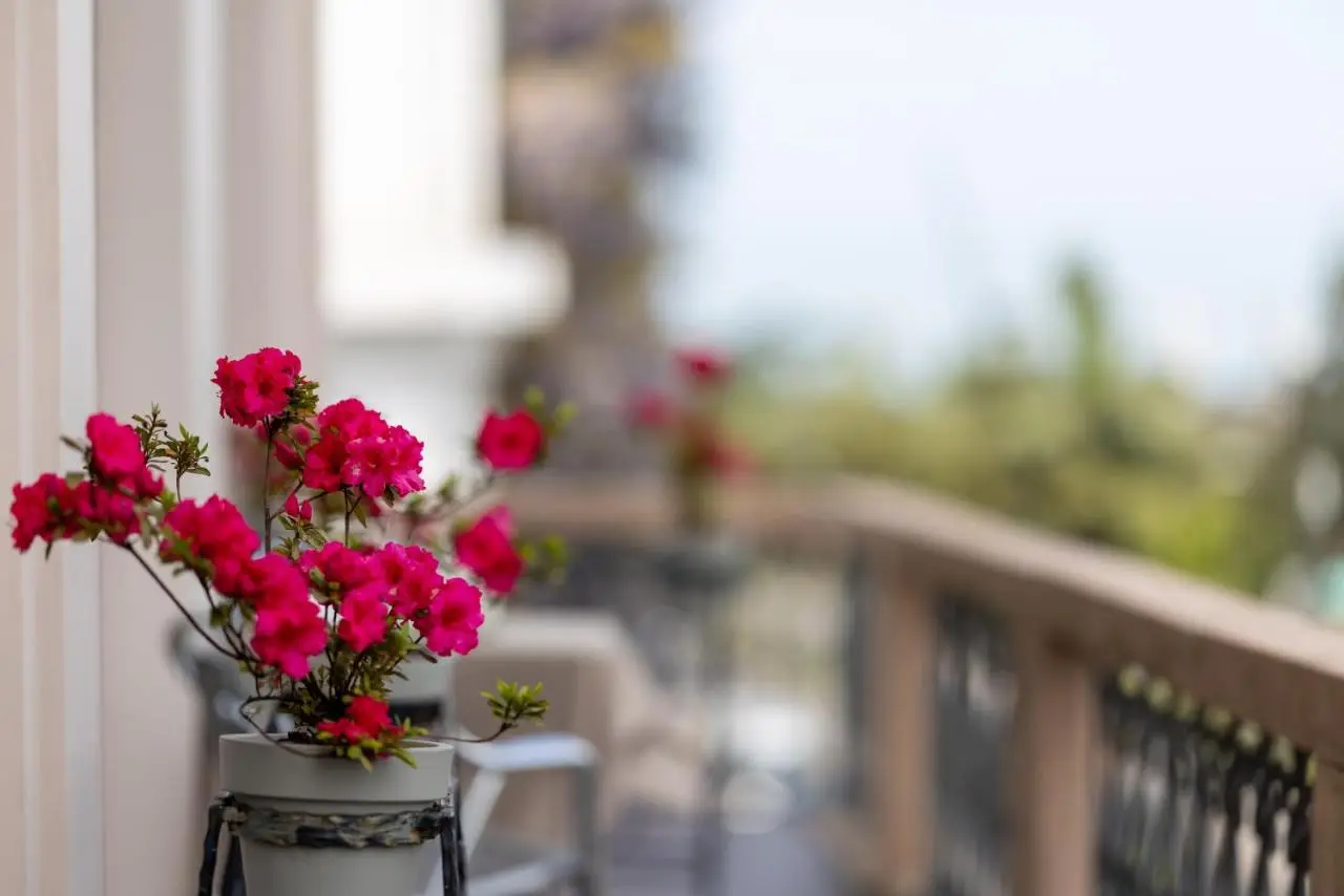 Acord Hotel & Balcony