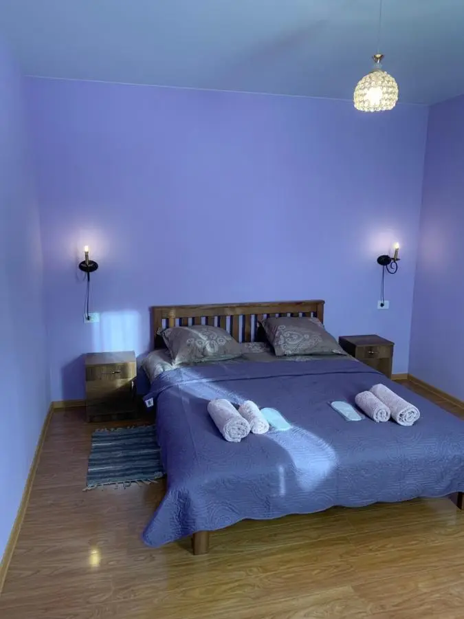 Mate's home Kazbegi