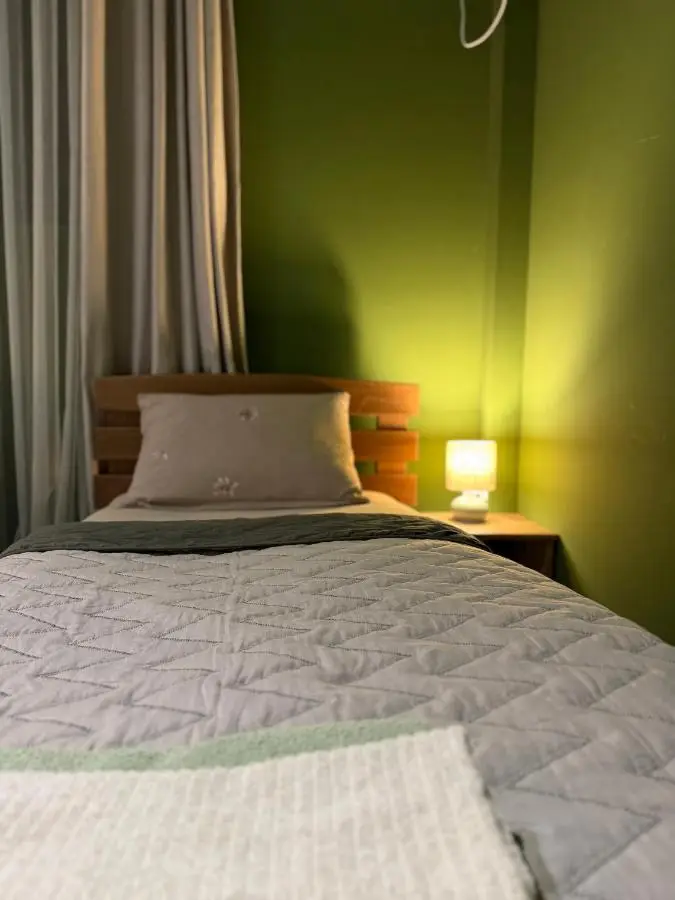 Firuzi Apartment TBS