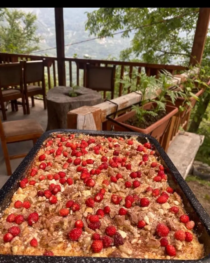 Guesthouse Kroni I Micanit