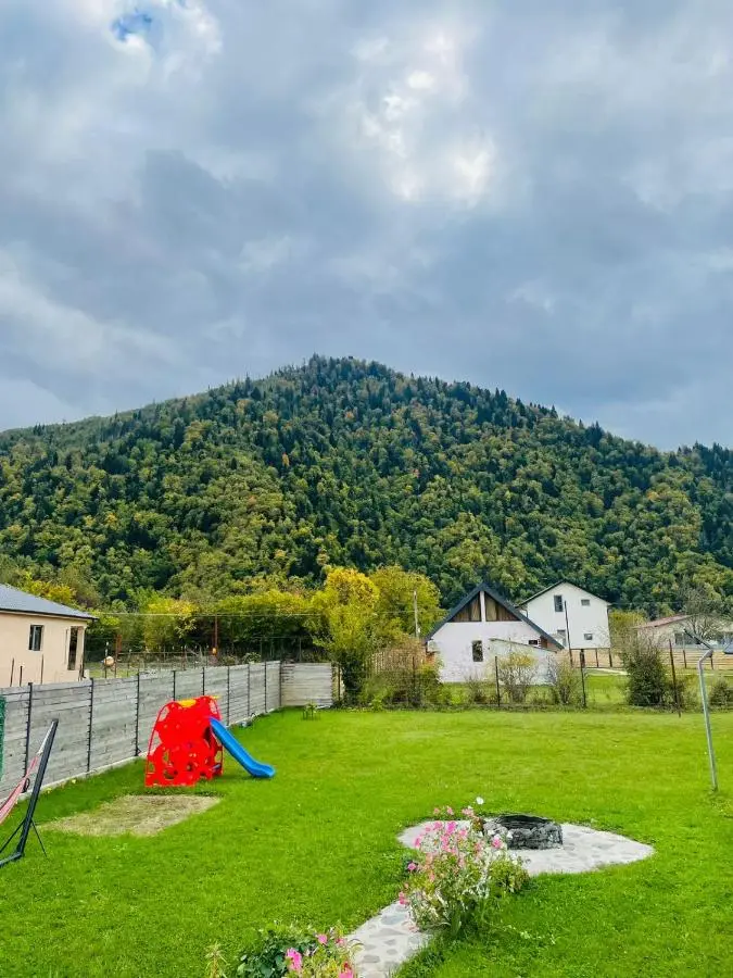 Borjomi Story