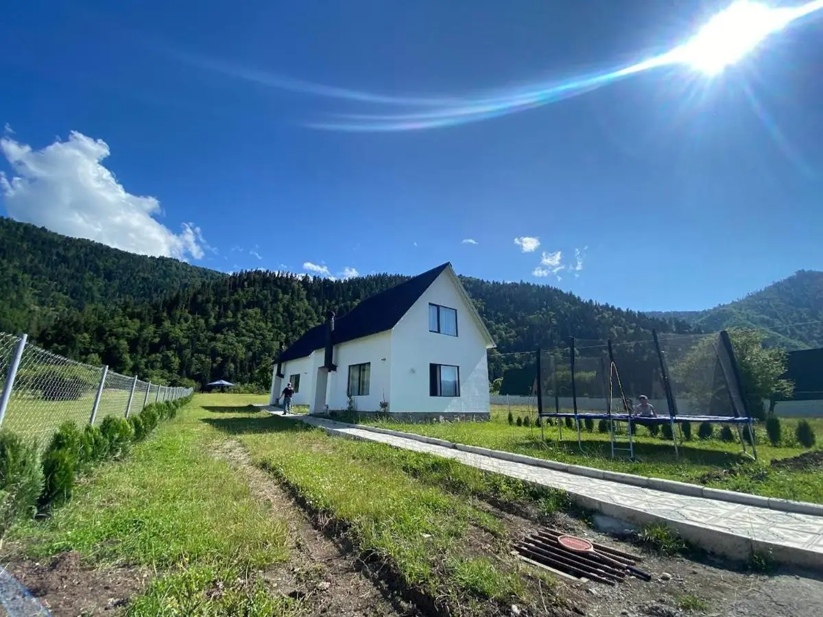White House near Borjomi Sadgeri