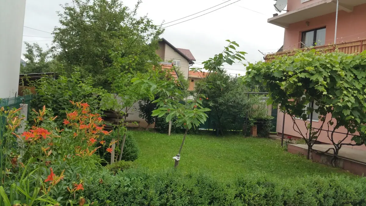Family home - Ground floor