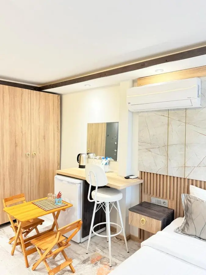 The Blue Mansion Modern Rooms