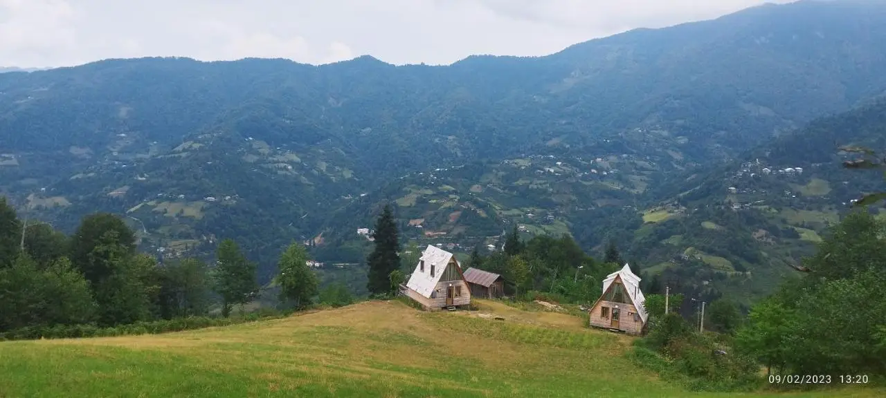 GREEN GUNDAURI