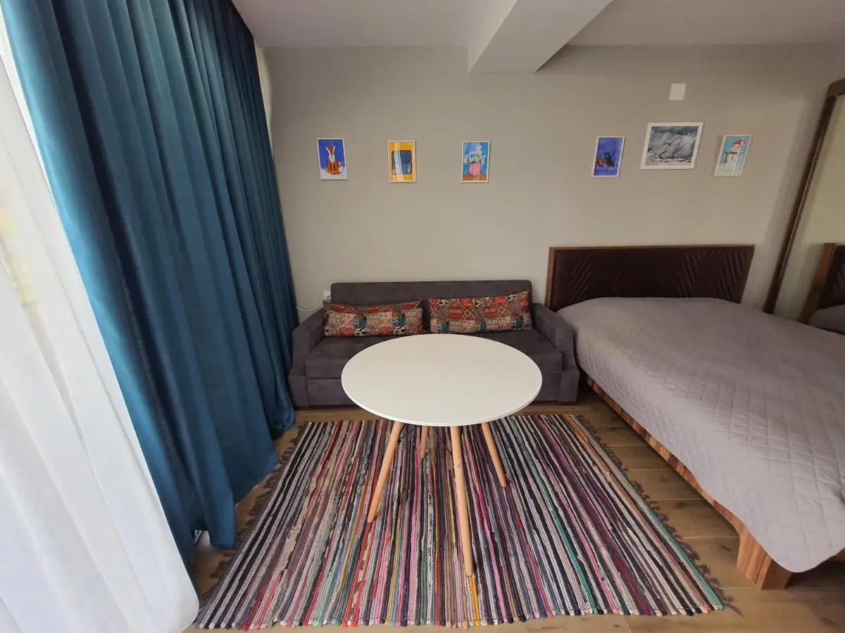 Perfect studio near Didveli ski area