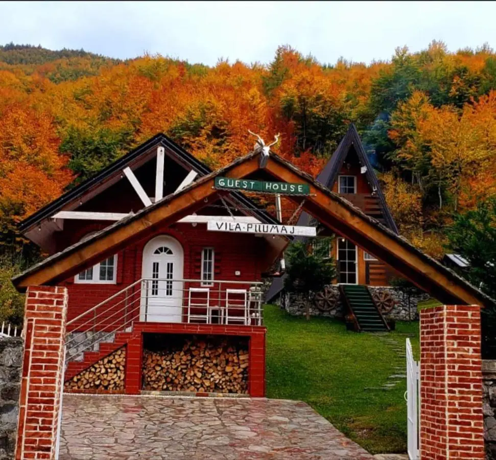 Vilat Pllumaj