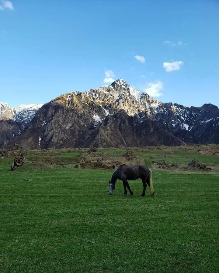 Shelva Cottage kazbegi