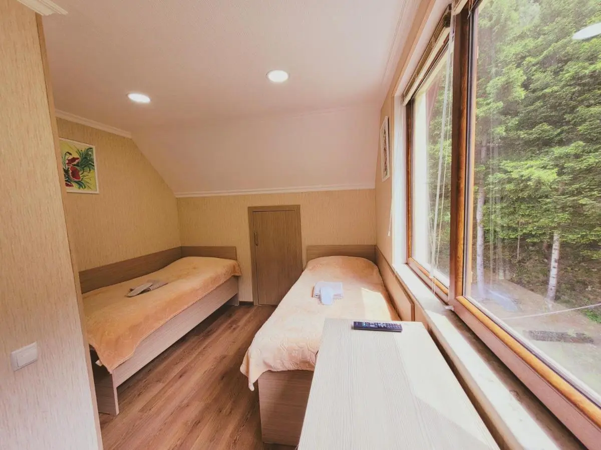 Hotel forest echo