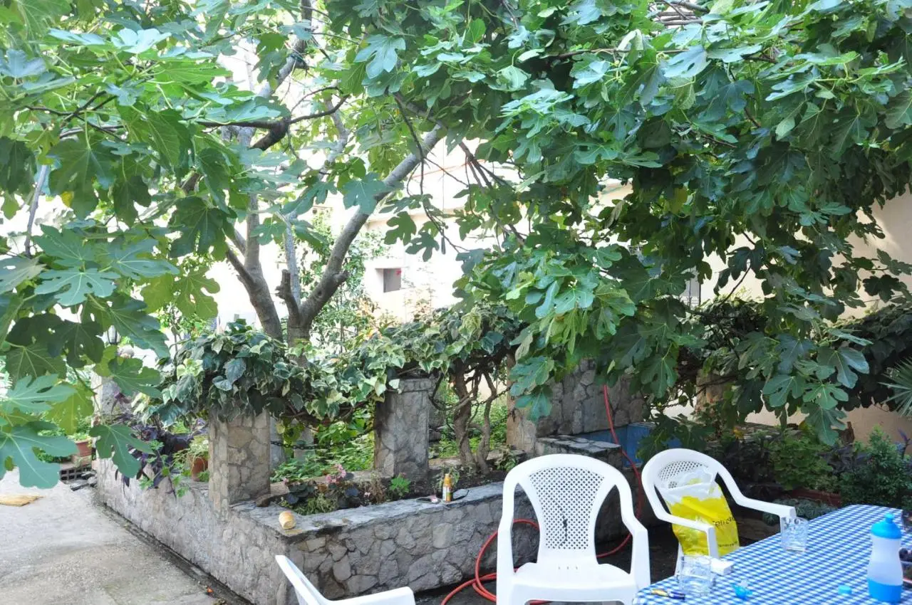 Guest House Mirza