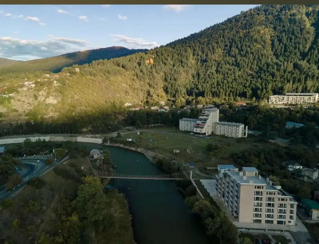 Borjomi house Robakidzis 5g Borjomis national park Borjomis cultural monuments