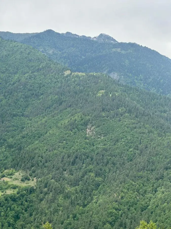 Paradise Keda