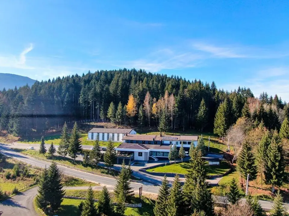 Hotel Forest