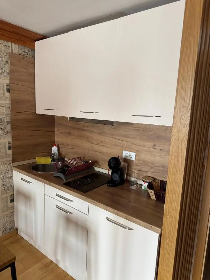 Apartment 122 - Aparthotel Vučko Jahorina - private host