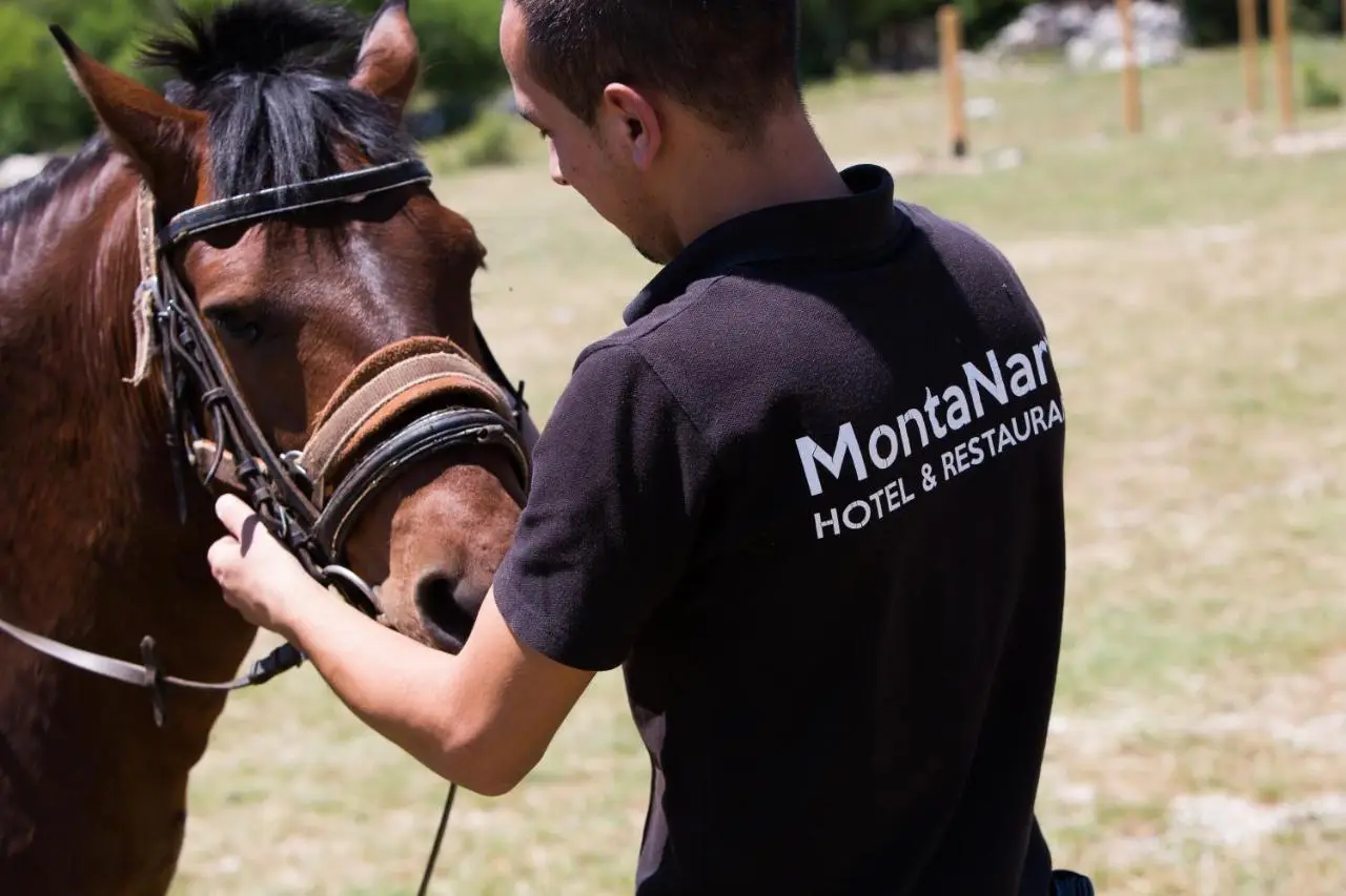 Motel MontaNaro