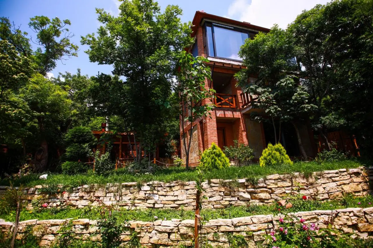 Villa Vejini