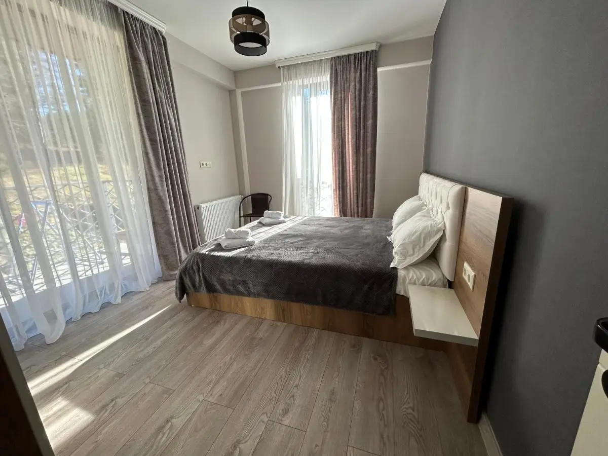 Bakuriani Hotel Apartments 301