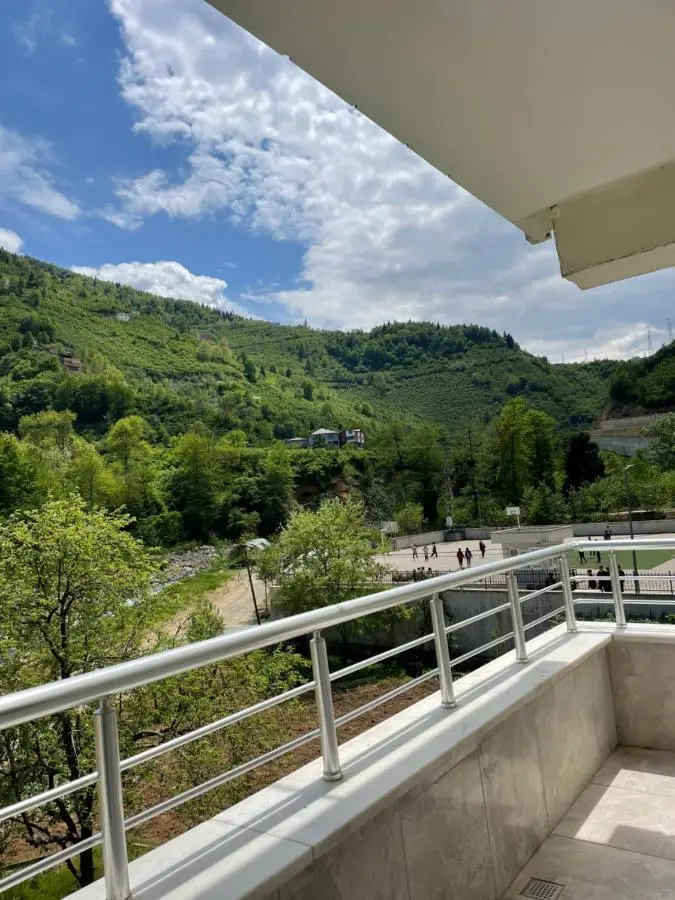 Yeşil ve huzur dolu bir daire