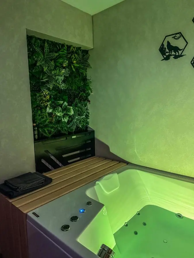 Vila Bašić Vlašić MEDO Spa Apartman Sauna & Jacuzzi
