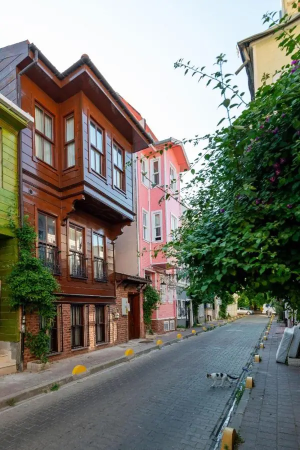 Brown Mansion Oldcity