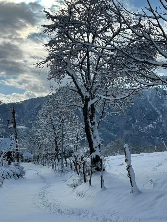 House in The Mountains