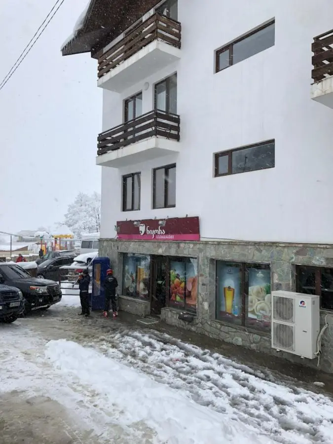 Cottage in Bakuriani