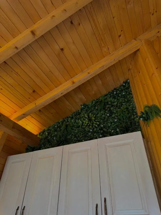 Vlasic Odmor - Villa Biser & spa