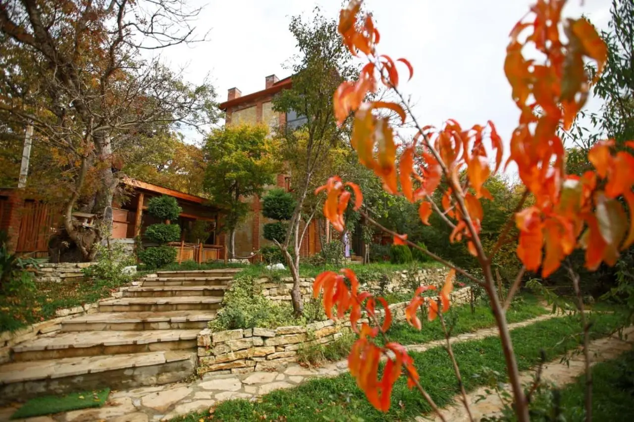 Villa Vejini