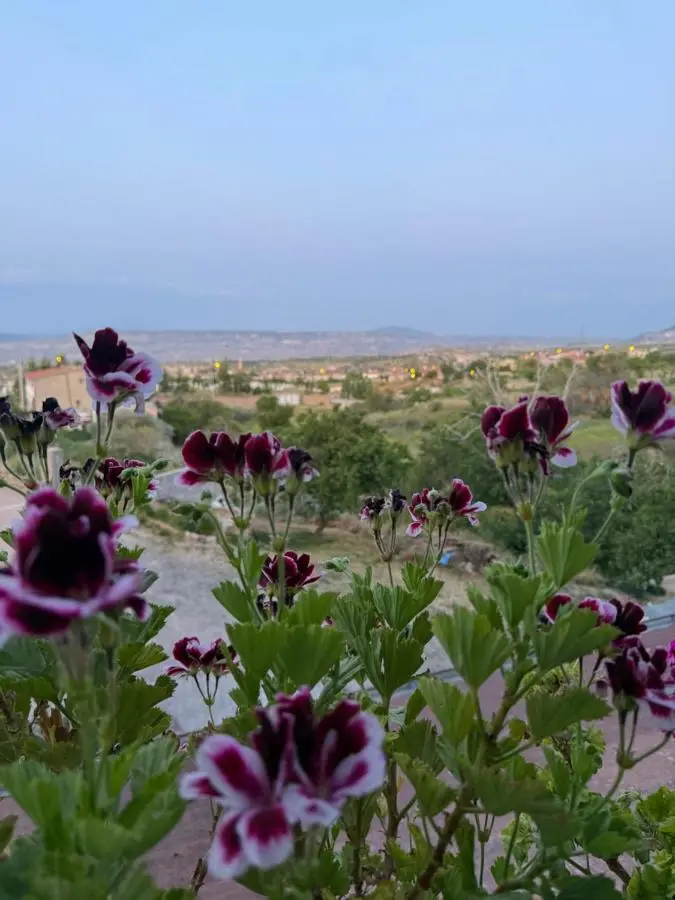 Unique Villa in Cappadocia