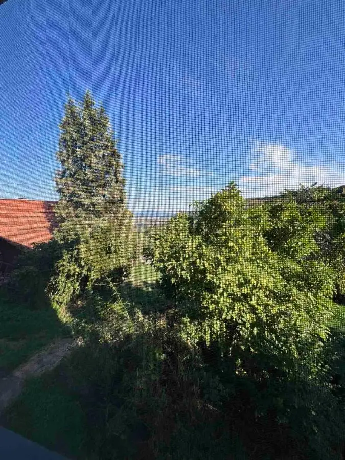 Travnik Nature