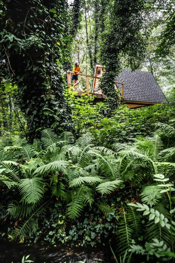 Duende Hotel