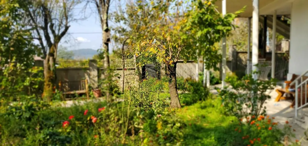 Villa Gelati