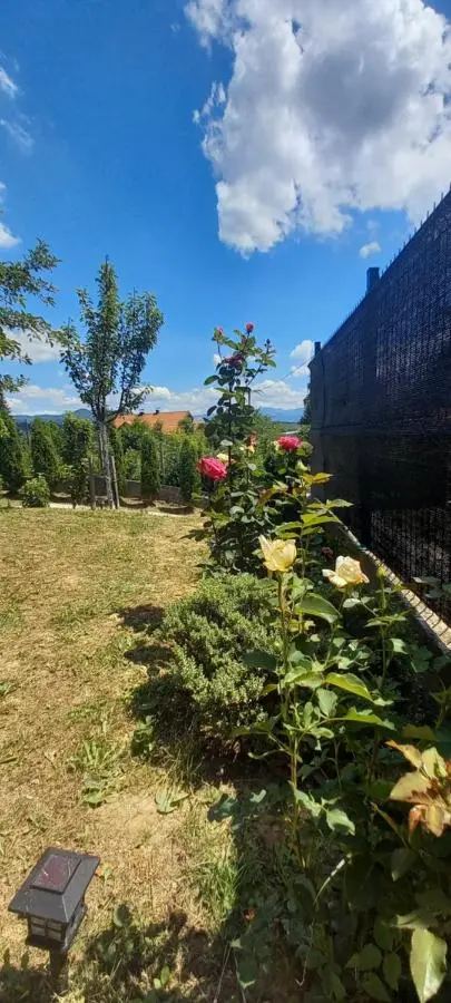 Villa for a large family