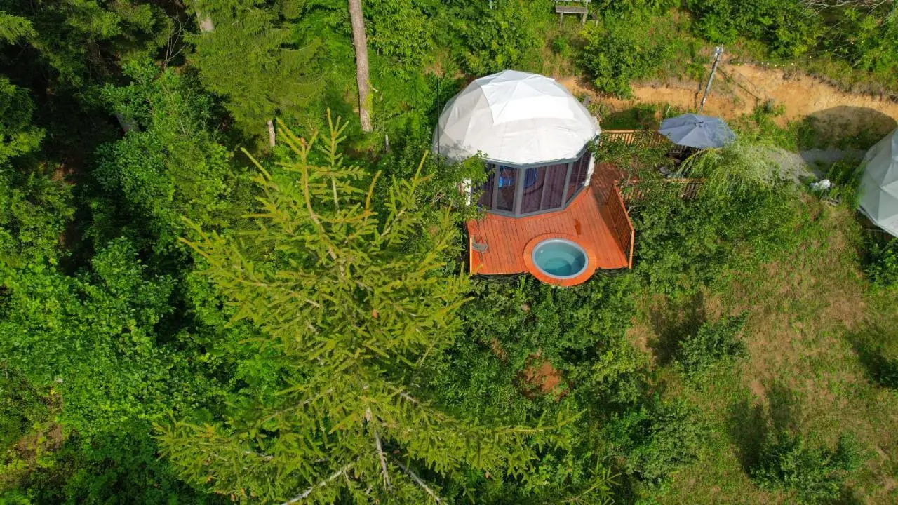 Ajara Glamping Kokotauri