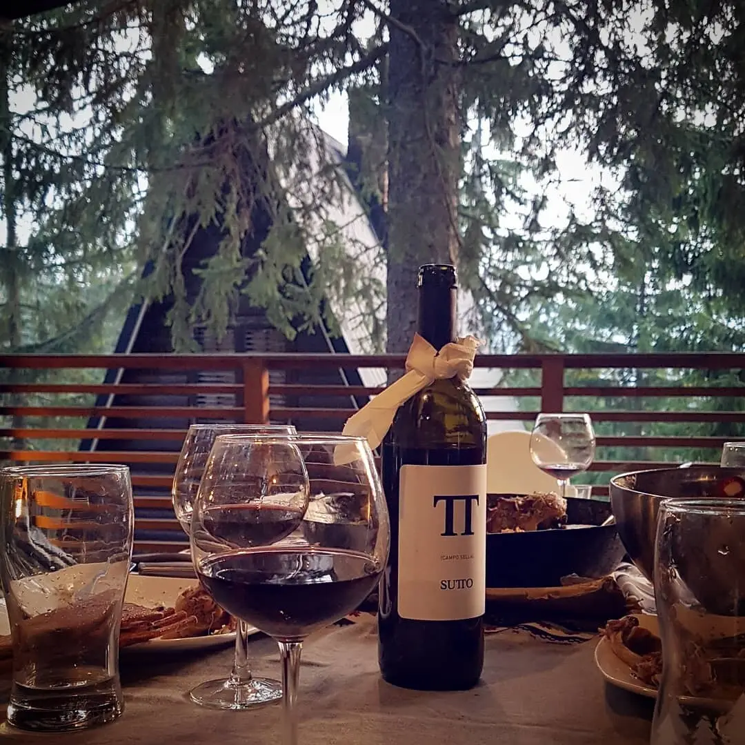 Vlasic Cabin