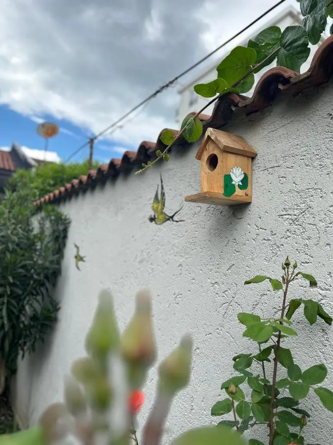 Green House