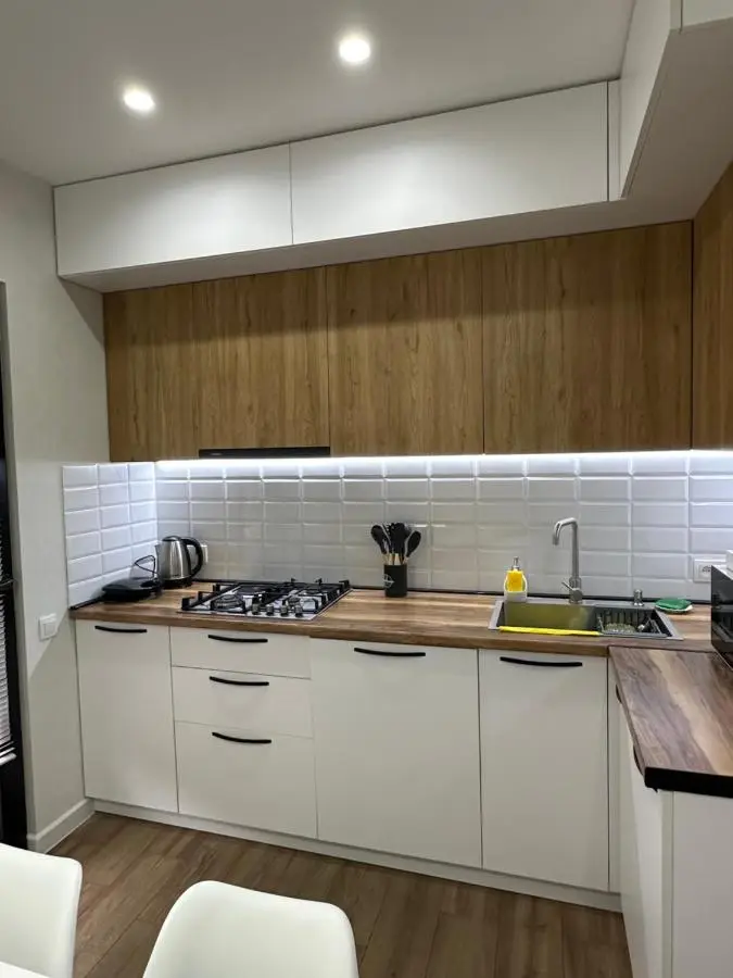 Modern apartment in Borjomi