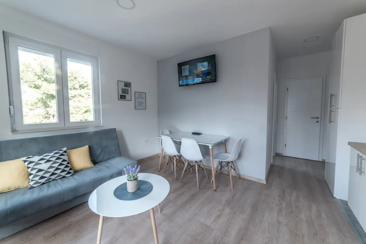 Comfortable new central city Apartment
