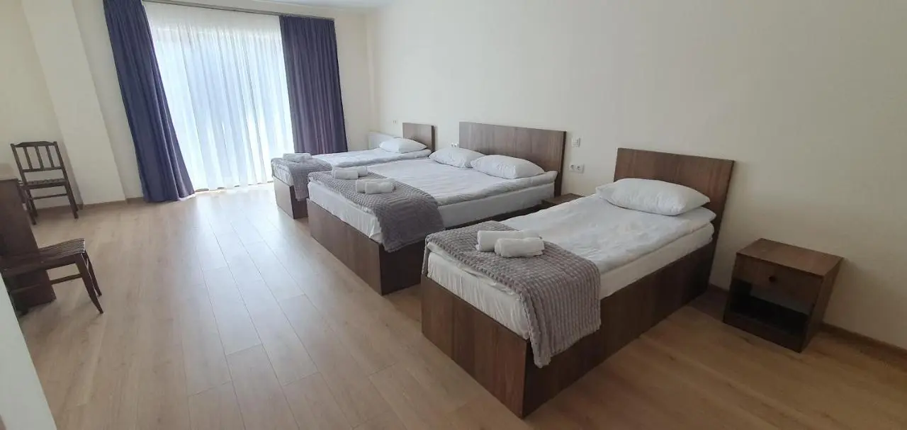 Elnetsa Inn Kazbegi