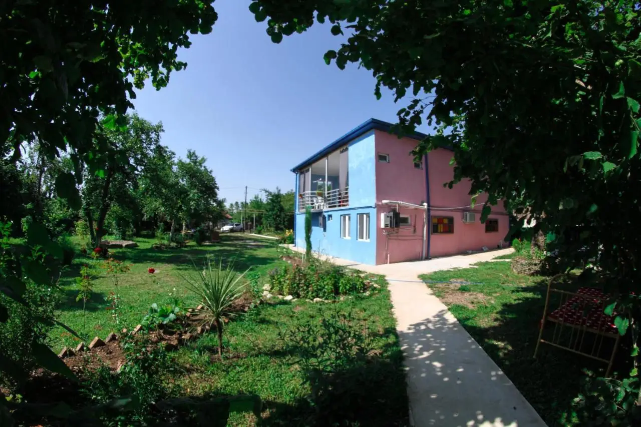 NOVEL HOUSE