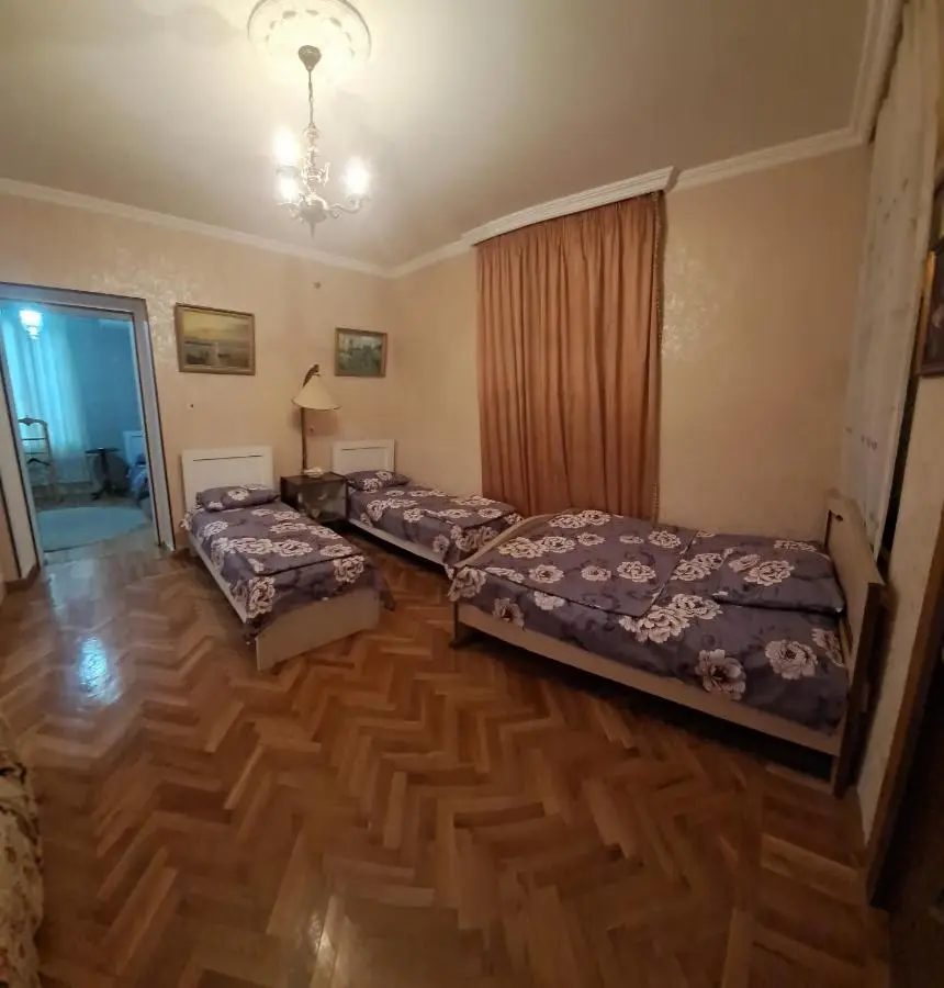 Kutaisi City Heart Apartment