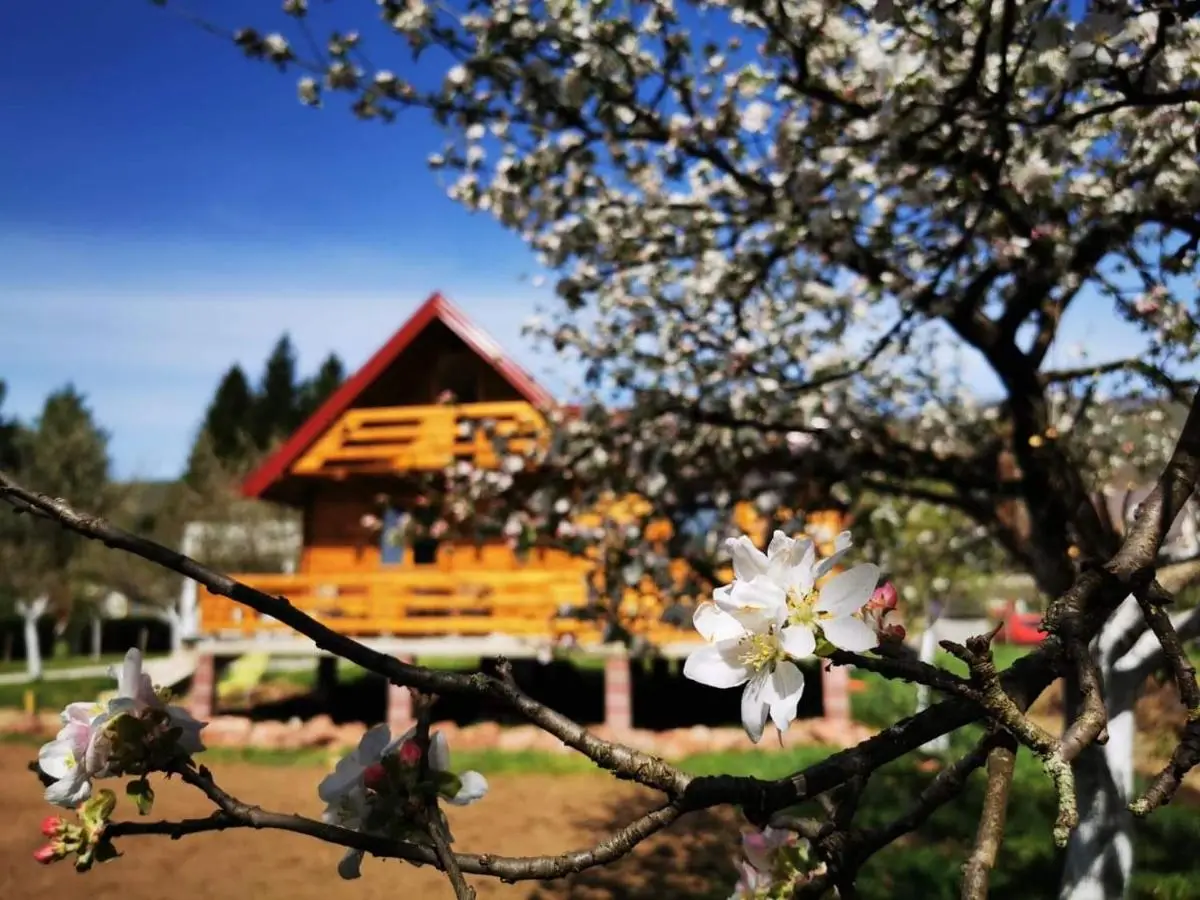Wooden House "Una"