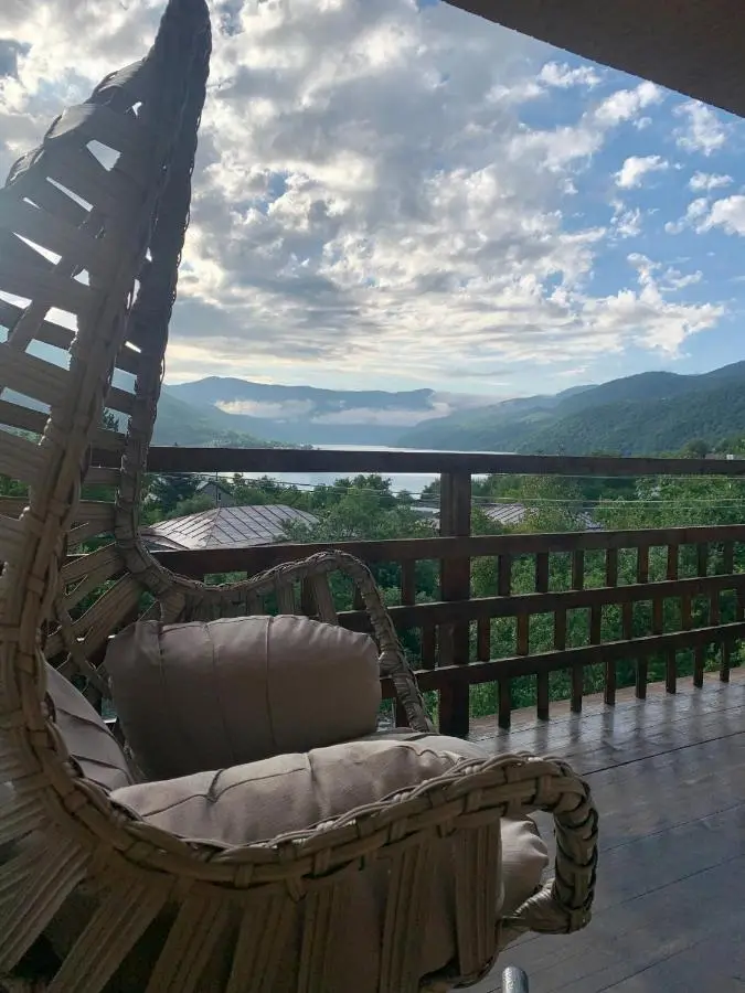 Panorama ananuri guest house