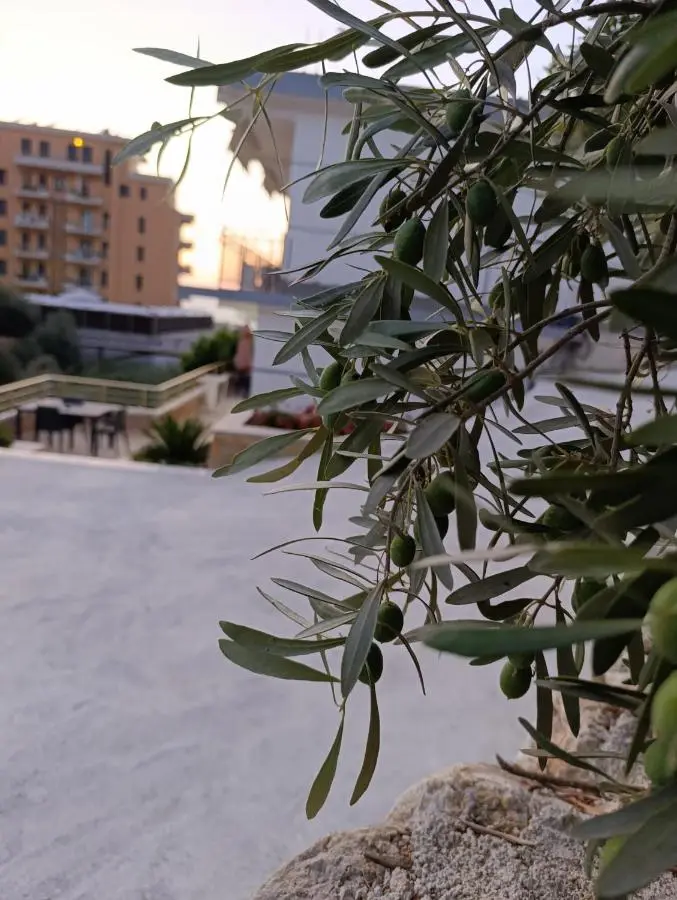 SOLE INN