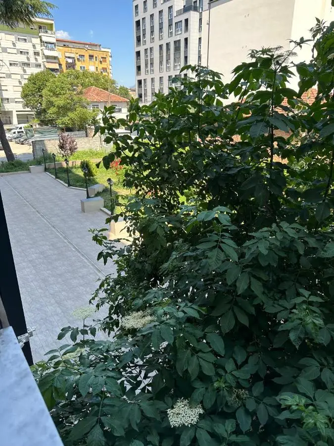 Moa Apartment Central 2BR