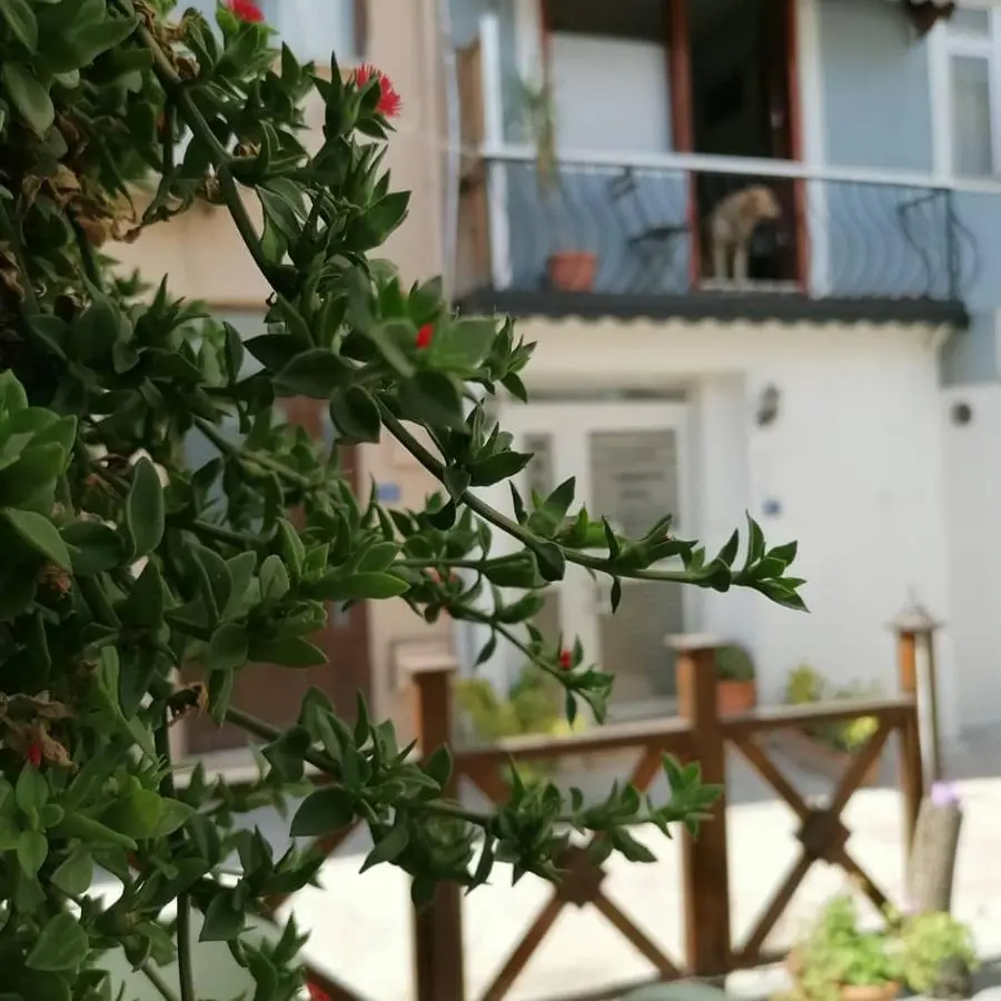 Mudanya Otel