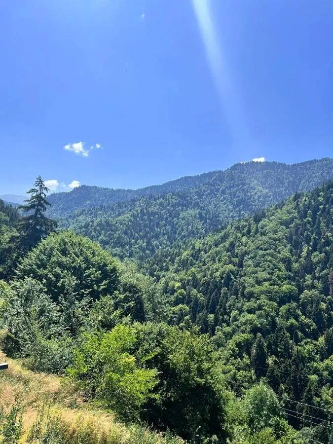 Hillstory Borjomi tba