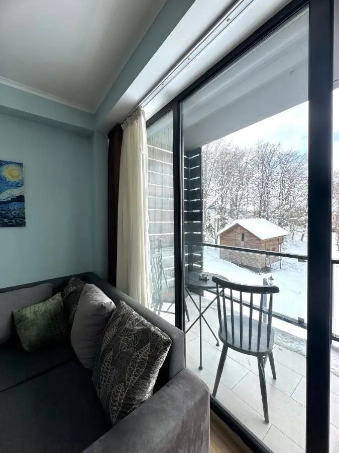 Bakuriani apartment 210
