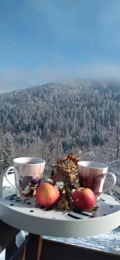 Planinska kuća ,,Furtula" Jahorina